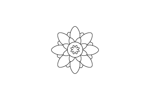 Flower Floral Drawing Illustrations