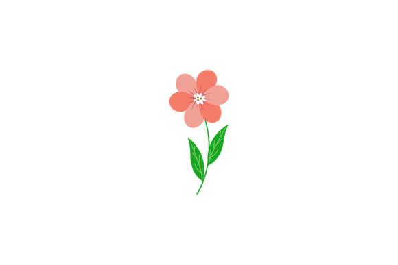 Vintage Floral Illustrations
