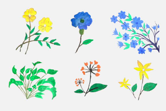 Watercolor Floral or Flower Illustration